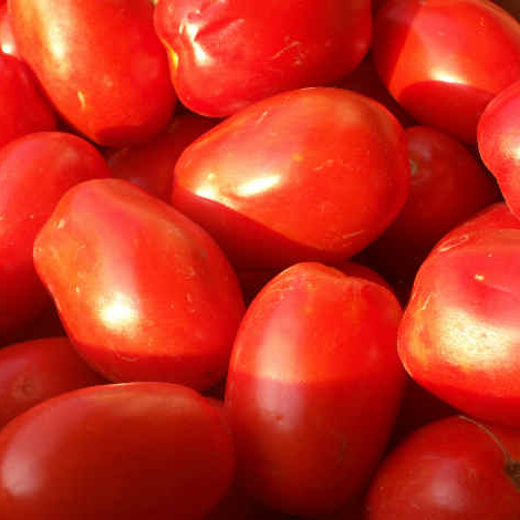 Pomodori-San-Marzano