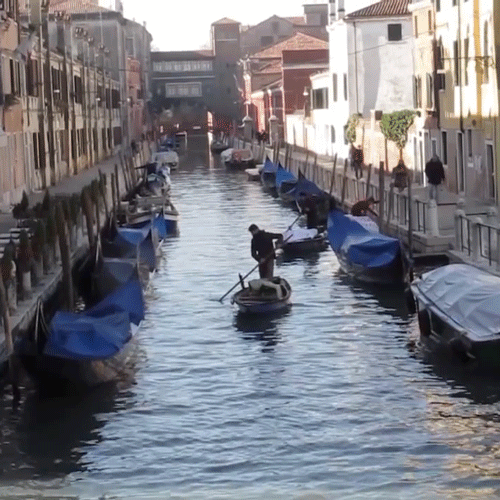 consegne a domicilio barca a remi venezia