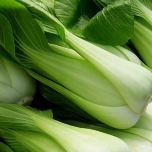 pak choi